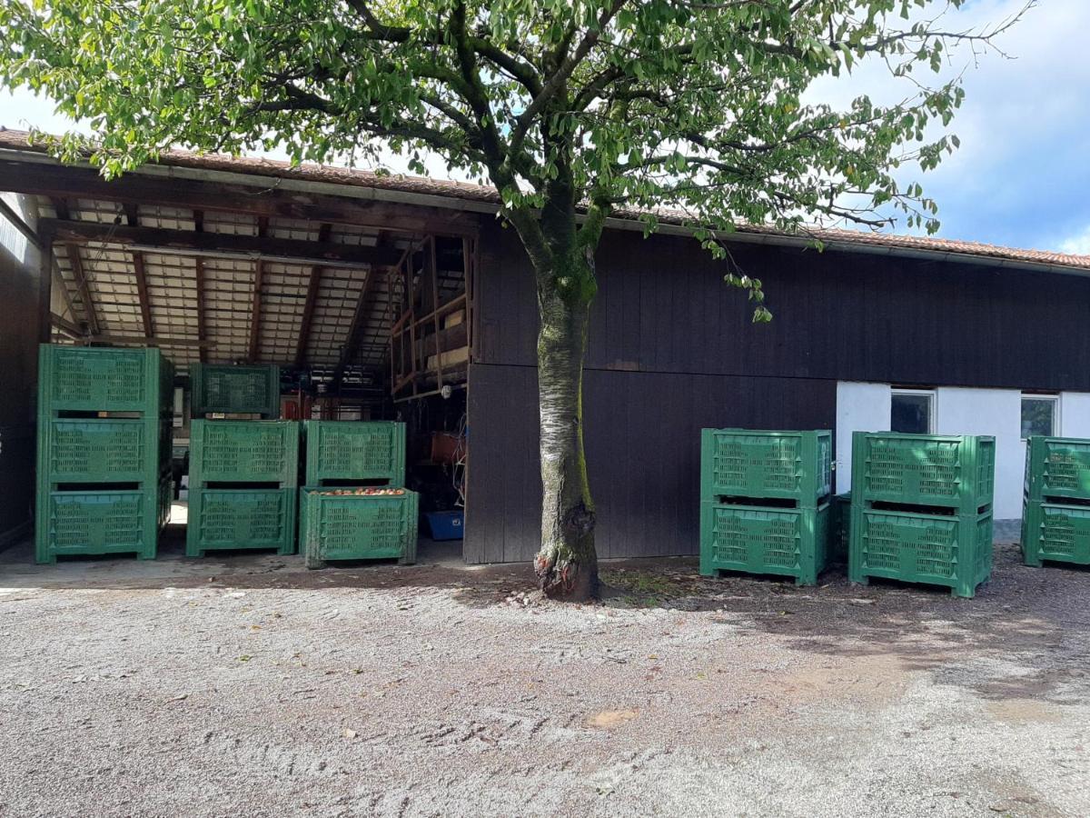 Ferienwohnung Hirschenhof Leifers Exterior foto